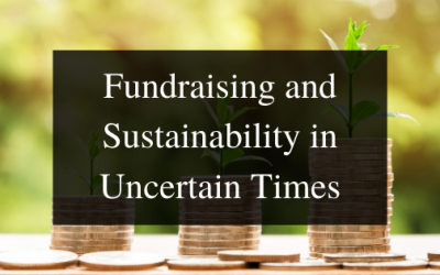 COVID-19 and NPOs in South Africa: Fundraising and Sustainability in Uncertain Times